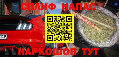 ГАЛЛЮЦИНОГЕННЫЕ ГРИБЫ Кингисепп