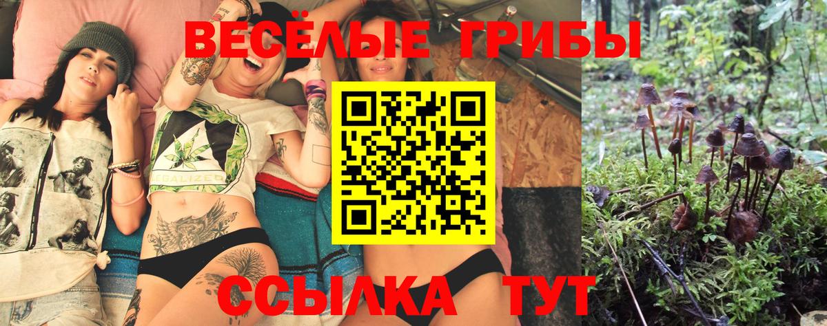 Псилоцибиновые грибы Magic Shrooms Канск
