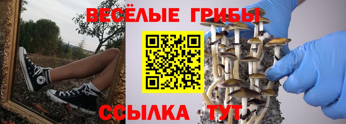 Канск  Псилоцибиновые грибы Psilocybe  как найти   Вход с VPN 